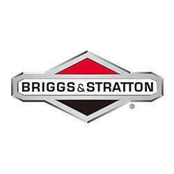 Briggs&Stratton