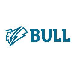 Bull