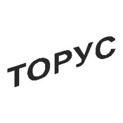 Торус